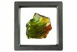 Iridescent Ammolite (Fossil Ammonite Shell) - Rainbow Colored #310341-1